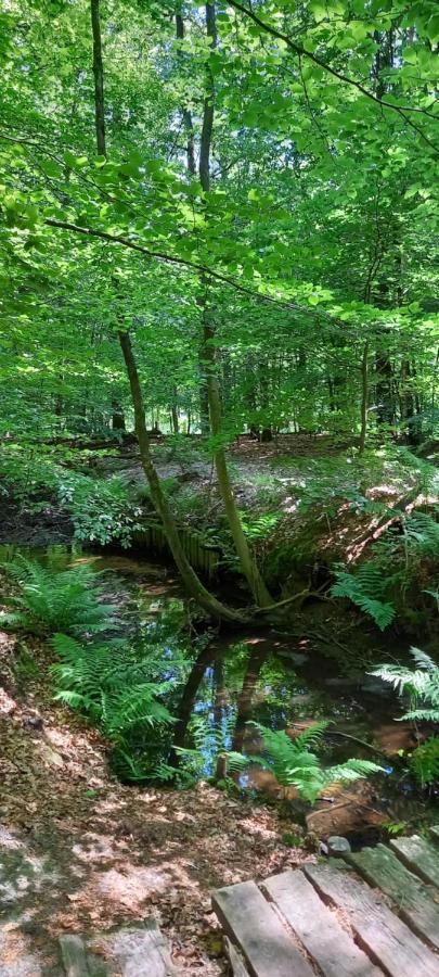 'T Hertje Ermelo Εξωτερικό φωτογραφία